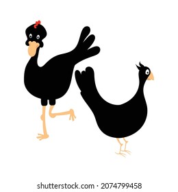 Cartoon cute black birds isolated on white background