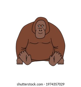 Cartoon cute brown Orangutan. Vector doodle outline rainforest animal illustration. Isolated monkey on white background