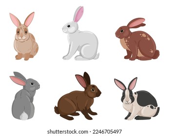 Cartoon cute bunnies. Funny rabbits, spring eared hare animals, white and brown fluffy domestic bunnies flat vector illustration set on white background