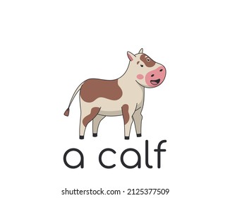 Cartoon cute calf white farm animal design