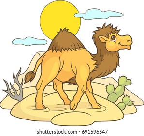 Cartoon cute camel walking through the desert