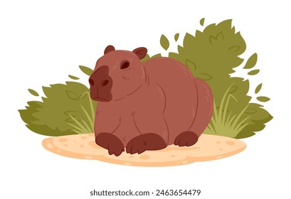 Cartoon cute capybara. Wild mammal in natural habitat, semi-aquatic capybara animal flat vector illustration. Relaxing capybara