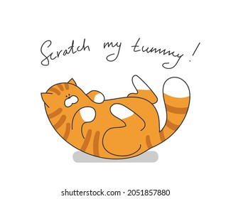 Cartoon cute cat vector illustration. Pet funny character with slogan for print on kid fashion.
