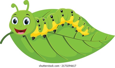 Cartoon cute caterpillar,  isolated on white background