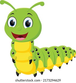 Cartoon cute caterpillar,  isolated on white background