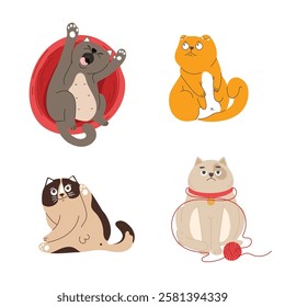 Cartoon cute cats. Cute cats lick themselves, play with toys, sit in a gift box. Funny pets, colorful vector characters