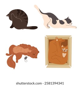 Cartoon cute cats. Cute cats lick themselves, play with toys, sit in a gift box. Funny pets, colorful vector characters