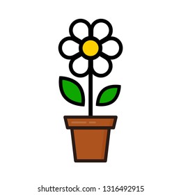 cartoon cute chamomile in a pot
