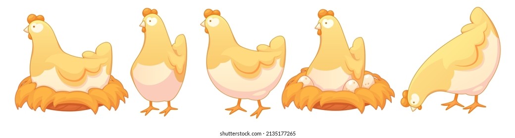 Cartoon cute chicken, a chicken in a nest hatching chickens from eggs, pecking seeds, a standing chicken. The design of the chicken character. Vector illustration for packages, postcards, prints.