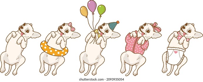 Cartoon cute chihuahua dog illustration Vector set