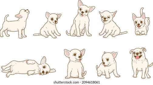 Dibujo de un perro chihuahua lindo	