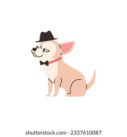 Cartoon cute Chihuahua purebred breed of furry little dog, best pet. Funny smiling chihuahua puppy dressed up with a black hat and bow vector illustration isolated on white background