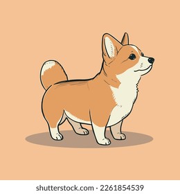 Cartoon cute corgi illustration. Isolated vector dog.