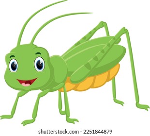 Cartoon cute cricket isolated on white 