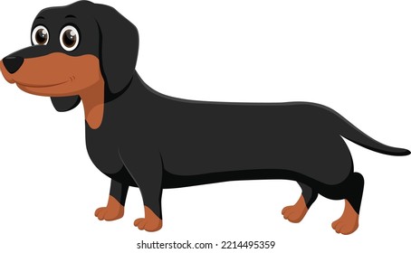 Cartoon Cute dachshund dog isolated on white 