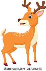 Cartoon cute deer isolated on white background