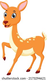 Cartoon cute deer isolated on white background