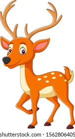 Cartoon cute deer on white background