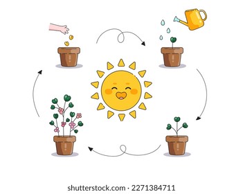 Caricatura linda ilustración demostrativa de cómo crecen las plantas. El proceso de crecimiento, fotosíntesis y reproducción en plantas y flores. Imagen vectorial simple en un fondo blanco.