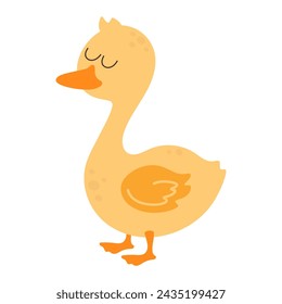 cartoon cute duck isolated on white, vector illustration with domestic farm bird