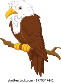 cartoon cute eagle isolated on white background