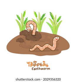 Caricatura lindo vector de personaje de lombrices de tierra.