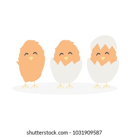 Cartoon cute Easter baby chikens hatched from egg isolated on white background