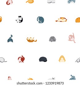 Cartoon Cute fat cats of different breeds in different poses. Vector seamless pattern on white background