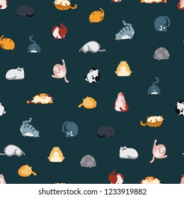 Cartoon Cute fat cats of different breeds in different poses. Vector seamless pattern on dark background