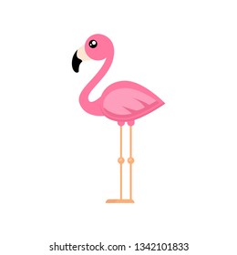 cartoon cute flamingo vector