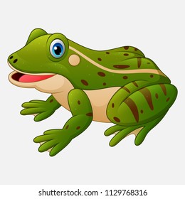 Cartoon cute frog