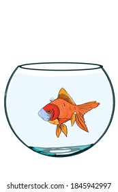 cartoon , cute , funny , Japanese fish, goldfish  in aquarium and taking face masking in quarantine ,poster,card.