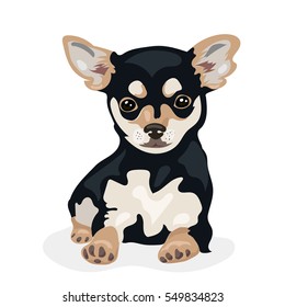 cartoon cute funny vector chihuahua dog at the white background