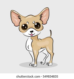 cartoon cute funny vector chihuahua dog at the white background