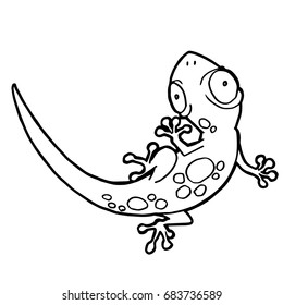 cartoon cute gecko coloring page vector illustration
