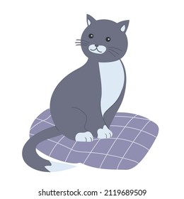 Cartoon cute gray cat on a pillow. Home pet. Vector isolated illustration