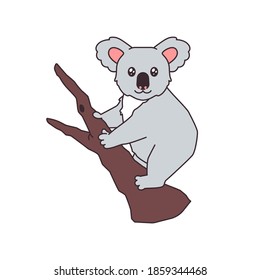 Caricatura lindo koala gris en una ilustración vectorial de rama de árbol