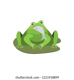 Cartoon Cute Green Frog Character with Fish Comic Toad Concept Flat Design Style. Vector illustration of Expression