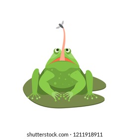 Cartoon Cute Green Frog Character with Insect Comic Toad Concept Flat Design Style. Vector illustration of Expression