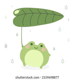 Cartoon cute green frog holding leaf of a water lily like an umbrella