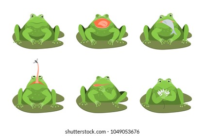 Cartoon Cute Green Frogs Characters Icon Set Comic Toad Concept Flat Design Style. Vector illustration of Expression Frog