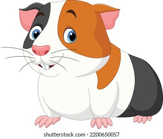 Cartoon cute guinea pig on white background