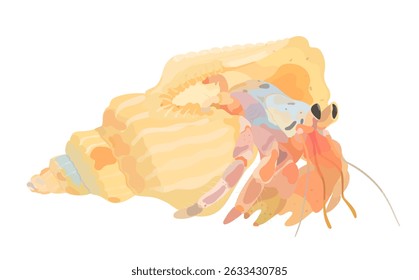 Cartoon cute Hermit Crab isolated on white. Sea shell icon vector illustration.