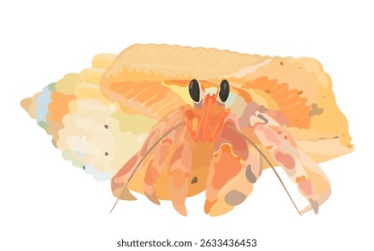 Cartoon cute Hermit Crab isolated on white. Sea shell icon vector illustration.