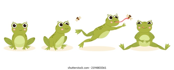 Cartoon cute hunting frog, amphibian carnivore catch insects. Green water animal food chain, hungry frog flat vector illustration. Frog nutrition process