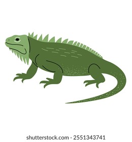 Cartoon cute iguana. Wild hand drawn animals. Childish illustration. Kids style 