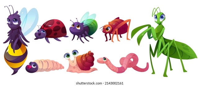 Cartoon cute insects characters snail, bee or wasp, ladybug, fly, chrysalis, worm, ant, mantis. Funny wild creatures with smiling faces and big eyes. Mascot, kids design elements, isolated vector set