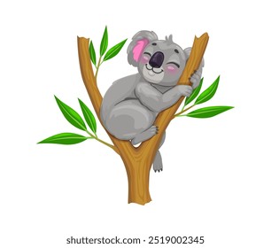 Personaje lindo del oso del koala de la historieta que duerme pacíficamente en la rama del árbol del eucalipto. Animal tropical de Vector aislado con pelaje gris esponjoso, encarnando el encanto adorable y vibraciones australianas relajadas