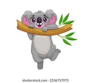 Cartoon cute koala bear character hanging on tree. Koala funny vector mascot, Australia jungle bear cute cartoon character or zoo animal comical isolated personage climbing and hanging on eucalyptus