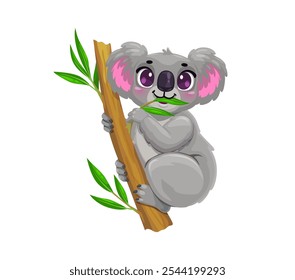 Cartoon bonito coala urso personagem sentado no ramo de eucalipto, vetor engraçado animal australiano. Coala sorridente feliz com olhar tímido comendo folha de eucalipto, animal alegre para ilustração infantil